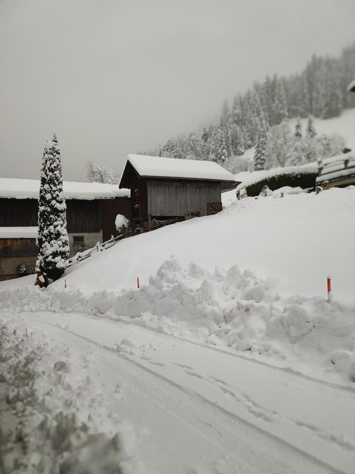 Apartament Haslinggut Bad Hofgastein Zewnętrze zdjęcie